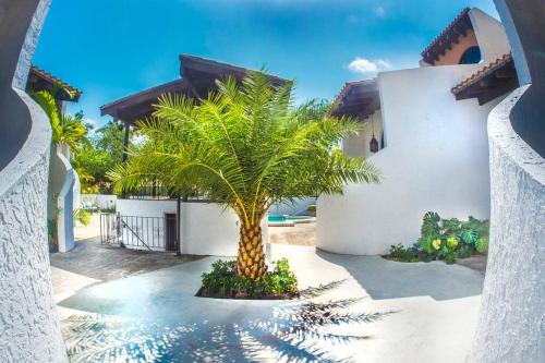 a palm tree in the courtyard of a house at Villa at St. James Place “H”, Luxury, Pet Friendly in Miami