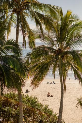 a beach with palm trees and people laying on the sand at Netanya Noosa Beachfront Resort in Noosa Heads