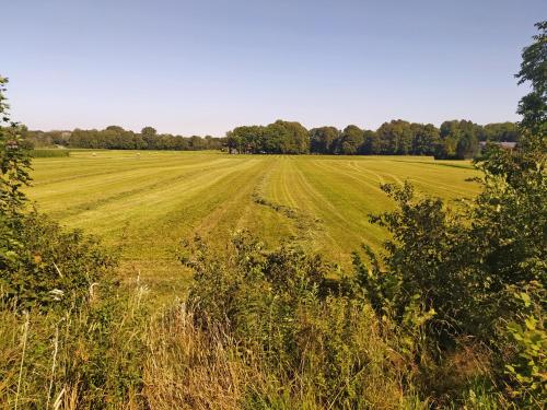a field of green grass with trees in the background at Urlaub im schönen Nussdorf/Inn in Nußdorf am Inn