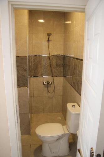 Limon Pansiyon في أديرني: حمام صغير مع مرحاض ودش