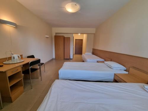 a hotel room with two beds and a desk at Biłgoraj Aparthotel in Biłgoraj