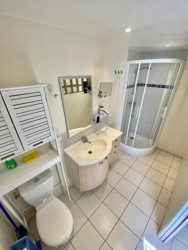 une salle de bain avec toilettes, lavabo et douche dans l'établissement Ty France, à Crozon