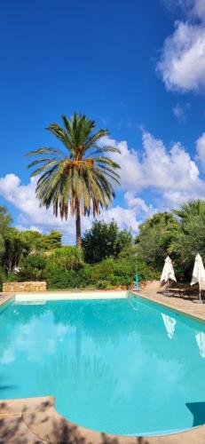 una palmera y una piscina con una palmera en La Casa Del Duca en Porticalazzo