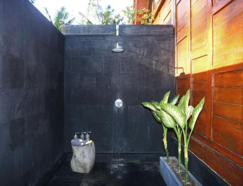 uma casa de banho com um chuveiro e uma planta em The Hidden Escapes Manggis- Stunning Hidden Gem Villa with Pool, Sauna & Ice Bath em Padangbai