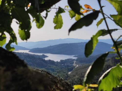 a view of a lake from a tree at Vivenda das Carvalhas in Amiar
