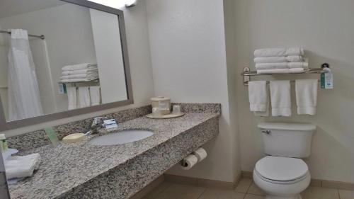 a bathroom with a sink and a toilet and a mirror at Holiday Inn Express and Suites Montgomery by IHG in Montgomery