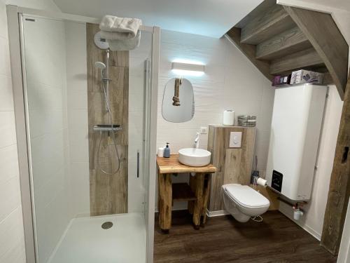 uma casa de banho com um chuveiro, um WC e um lavatório. em Bi d'Grosseltere Gîtes de charme em Kirrwiller