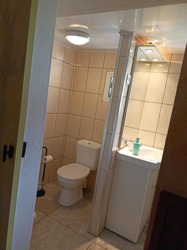 a bathroom with a toilet and a sink and a mirror at Petite Fleur de Lentilles 2 in Cilaos