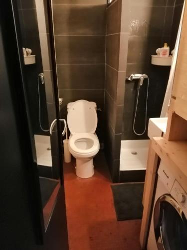 Appartement de 28 m2, centre station les 2 alpes