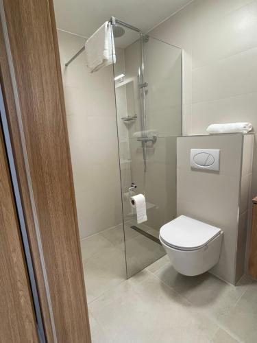 Koupelna v ubytování Apartmotel ANROE