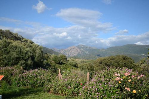 Foto dalla galleria di U Pianarellu a Olmeto