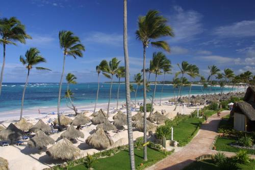 a beach with palm trees and palm trees at VIK hotel Arena Blanca in Punta Cana
