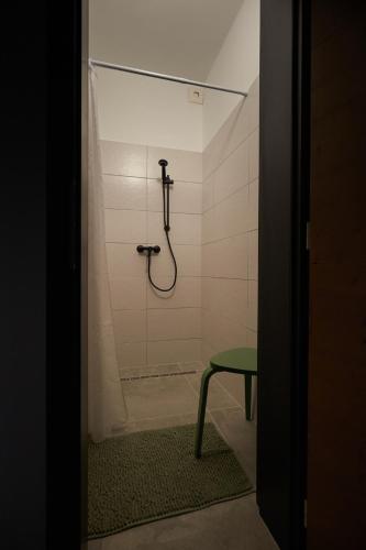 a bathroom with a shower with a green stool at Zöld Béka Vendégház in Komló