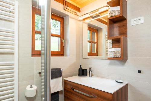 a bathroom with a sink and a mirror at Chalet Ajda in Bohinj