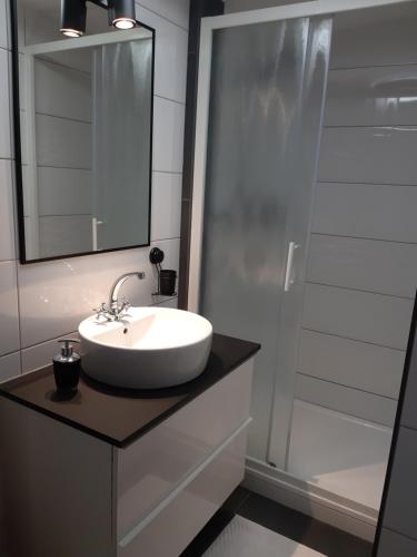 een badkamer met een wastafel, een spiegel en een douche bij Apartments Isabella in Ptuj