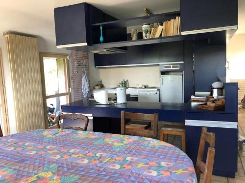 eine Küche mit einer blauen Theke und einem Tisch mit Stühlen in der Unterkunft Villa au cœur des vignes de Chavignol in Sancerre