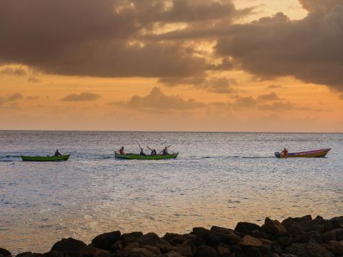 a group of people in boats in the ocean at The Liming Bequia in Friendship