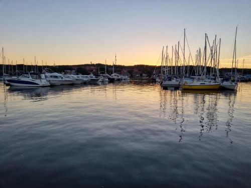 a group of boats docked in the water at sunset at Marių vėjas in Nida