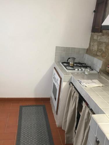 a small kitchen with a stove and a sink at Agriturismo I Poggi in Impruneta