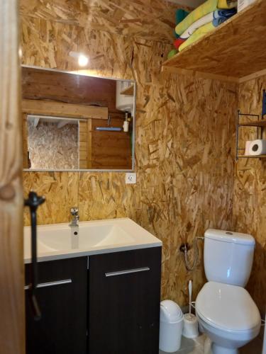 La salle de bains est pourvue de toilettes et d'un lavabo. dans l'établissement Casa di legnu ,charmant chalet avec piscine, à Patrimonio