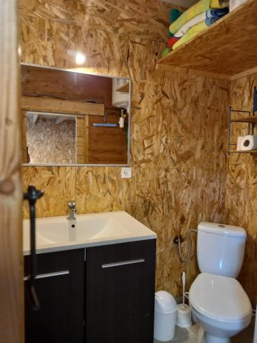 a bathroom with a toilet and a sink at Casa di legnu ,charmant chalet avec piscine in Patrimonio