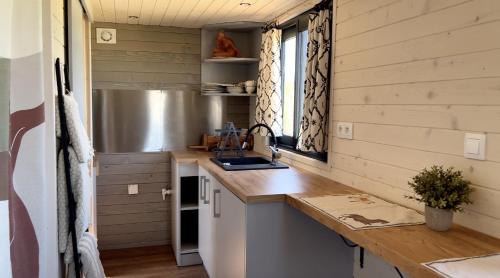 una cucina in una casetta minuscola con lavandino e bancone di Les Chevaux de Coeur a Estepona