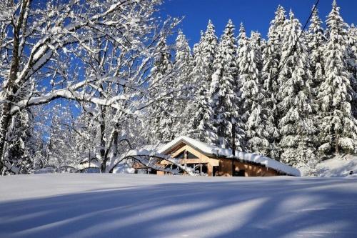 Chalet Le Petit Jura under vintern