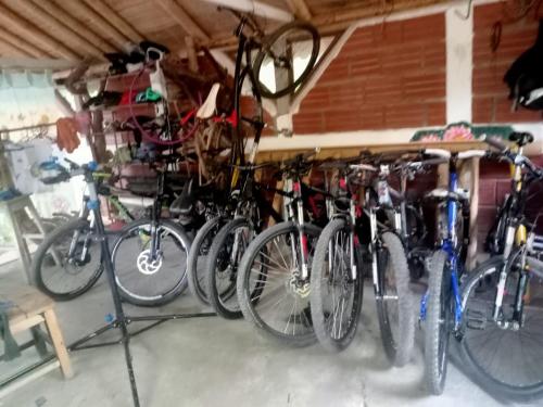 un grupo de bicicletas estacionadas en un garaje en Hakuna Matata Glamping timon, en Salento