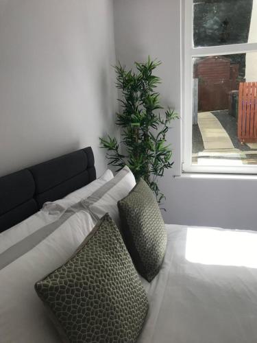 a living room with a couch and a potted plant at 1Bed Golfhill Cottage in Dunblane