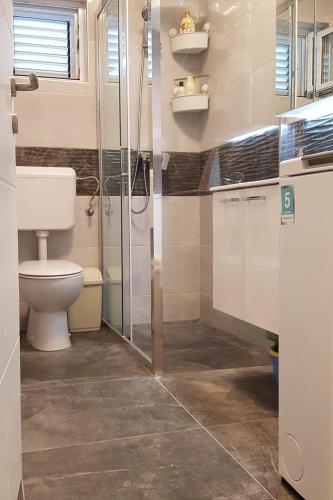 a bathroom with a toilet and a glass shower at Apartment Mirca 2838b in Mirce