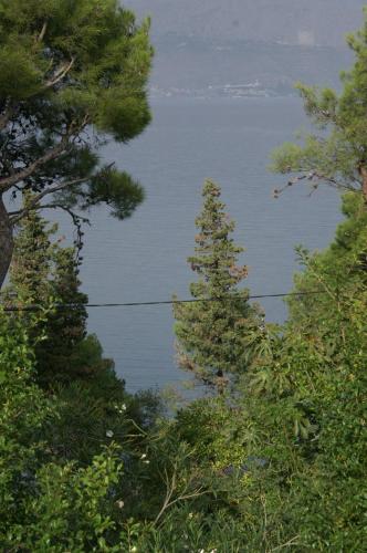 a view of a body of water between two trees at Apartments by the sea Splitska, Brac - 2865 in Postira