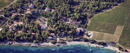 Fotografia z galérie ubytovania Apartments by the sea Zavala, Hvar - 2986 v destinácii Zavala