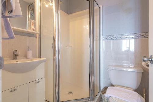 a bathroom with a shower and a toilet and a sink at Apartments by the sea Sumartin, Brac - 2940 in Sumartin