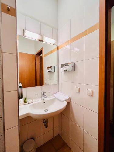 a bathroom with a sink and a mirror at Hotel Hoepfner Burghof in Karlsruhe