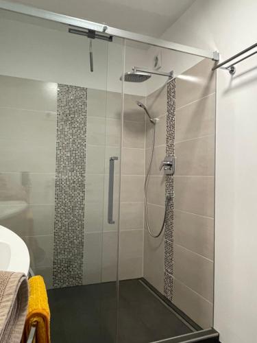 a shower with a glass door in a bathroom at Ferienwohnung MaRe in Stockach