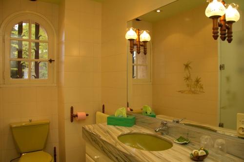 uma casa de banho com um lavatório, um WC e um espelho. em Chambre d'hôte Chez Dany - Mougins em Mougins