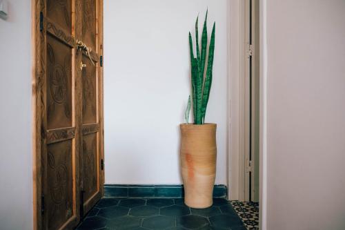 a vase with a plant sitting next to a door at Manzili Surfhouse in Tamraght Ouzdar