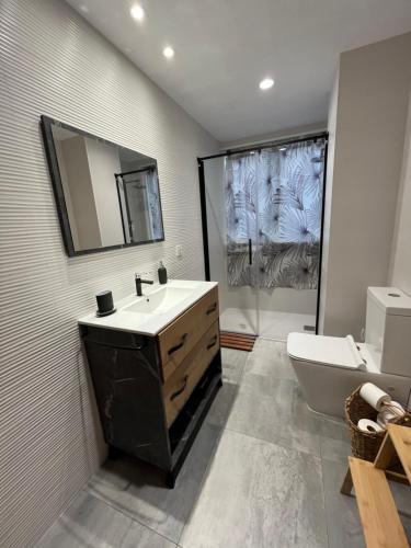 a bathroom with a sink and a toilet and a mirror at Apartamento Único en Plaza del Pilar in Zaragoza