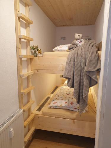 a bunk bed room with two bunk beds in it at FeWo Frühling in der Villa Waldrand mit großem Garten in Bad Wünnenberg
