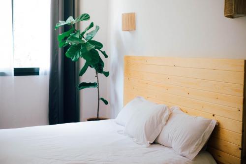 Postel nebo postele na pokoji v ubytování Manzili Surfhouse