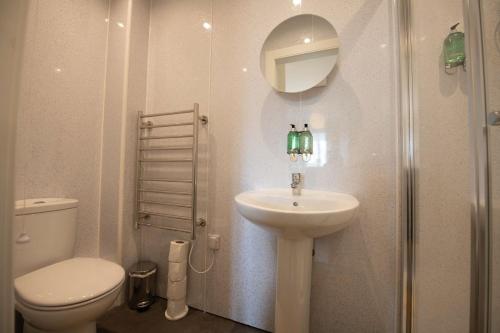a bathroom with a toilet and a sink and a mirror at Stobhan Apartment in Fort William