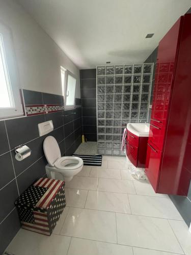 ein Bad mit einem WC und einem Waschbecken in der Unterkunft Happy Connection in Villarvolard
