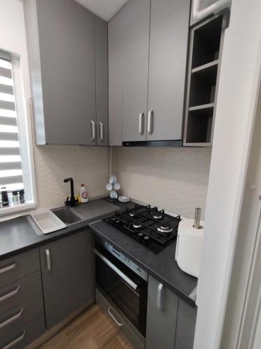 a kitchen with gray cabinets and a stove top oven at Decebal Premium Confort in Craiova