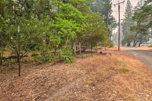 a dirt road with trees on the side of a road at Step-Free Hawkins Bar Home Near Trinity River in Salyer