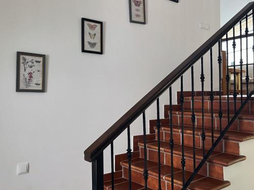 a staircase with wooden stairs and framed pictures on the wall at Casa Paco de Gredos in Arenas de San Pedro