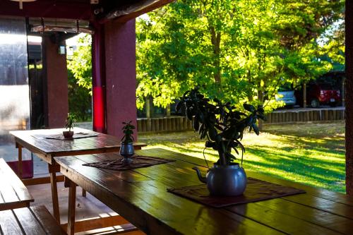 a wooden table with plants on top of it at Cabañas Parque Vistalba in Ciudad Lujan de Cuyo