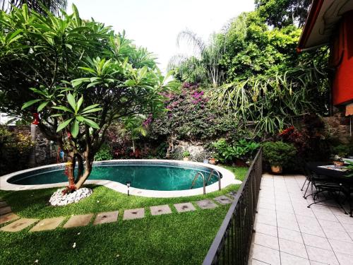 une piscine avec un arbre au milieu d'une cour dans l'établissement SOL Y SALSA bnb, à Cuernavaca