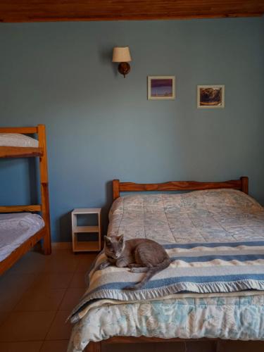 a cat laying on a bed in a bedroom at Cabañas Virazon Aguas Dulces in Aguas Dulces