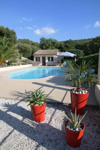 Ailleurs Land - Provence في Néoules: حمام سباحة به اثنين من النباتات الفخارية بجوار منزل