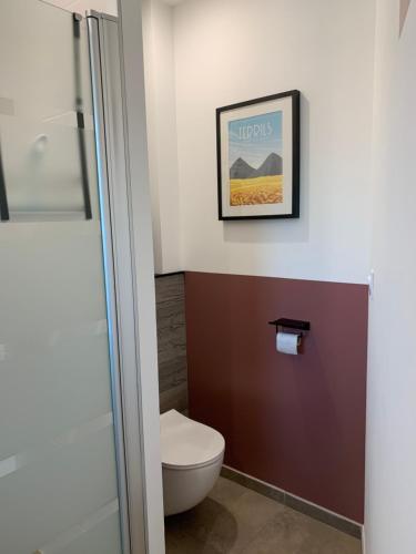 ein Bad mit einem WC und einem Bild an der Wand in der Unterkunft Les Chambres de Lily 1 in Lorgies